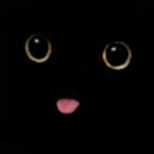 Meet your Posher, Rose